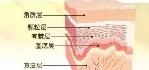 冬季护肤手册,看过来! 冬季护肤手册,看过来!