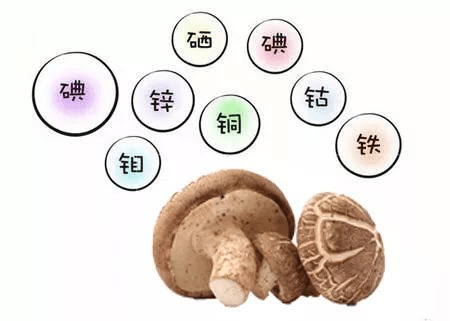 这些山珍不能错过,可以辅助白癜风治疗! 这些山珍不能错过,可以辅助白癜风治疗!