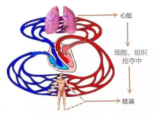 肢端白癜风难治好,原来原因是他们! 肢端白癜风难治好,原来原因是他们!