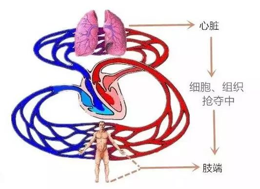 肢端白癜风难治好，原来原因是他们！