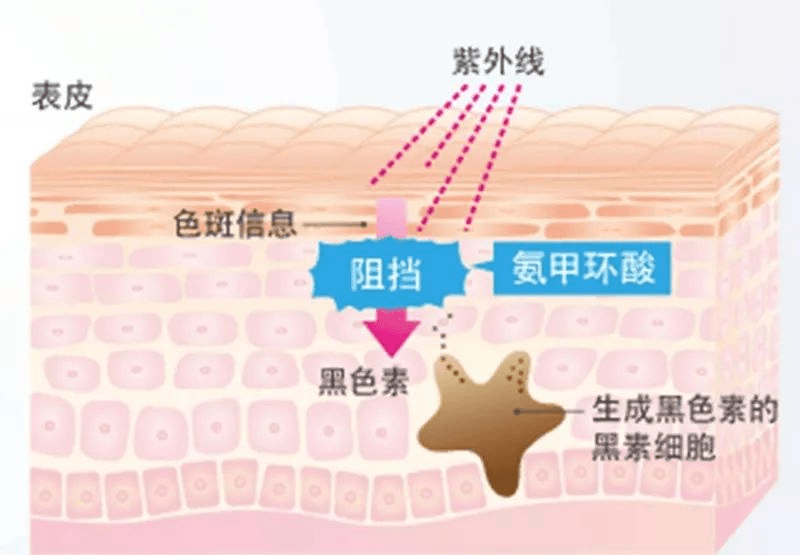 肢端白癜风难治好,原来原因是他们! 肢端白癜风难治好,原来原因是他们!