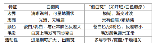 【科普辟谣】"白斑 = 白癜风？"——福建泉州中科白癜风医院带你认清5种最常见的"伪装者"