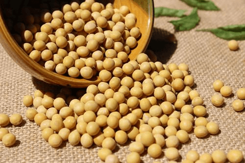 泉州实时公布-多吃这些豆，可以增加黑色素！